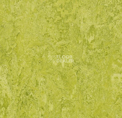 Линолеум Forbo Marmoleum Marbled Authentic 3224 chartreuse фото 1 | FLOORDEALER